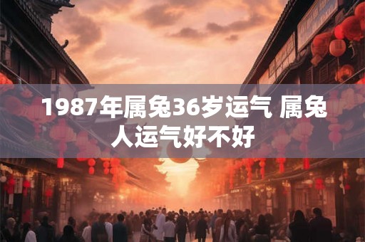 1987年属兔36岁运气 属兔人运气好不好