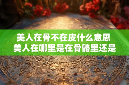 美人在骨不在皮什么意思 美人在哪里是在骨骼里还是在皮肤上这是何意