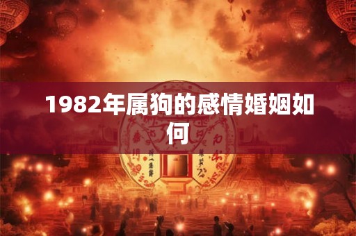 1982年属狗的感情婚姻如何