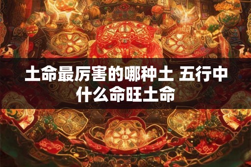 土命最厉害的哪种土 五行中什么命旺土命