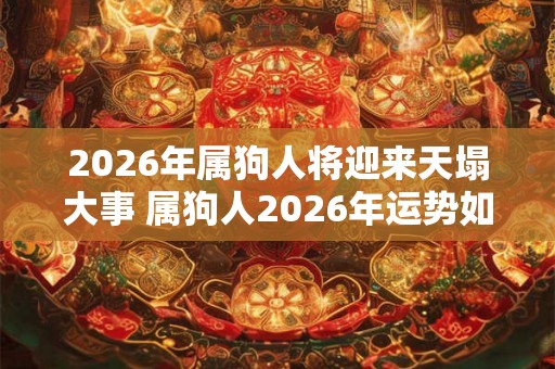 2026年属狗人将迎来天塌大事 属狗人2026年运势如何