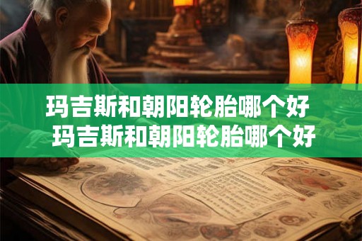 玛吉斯和朝阳轮胎哪个好  玛吉斯和朝阳轮胎哪个好