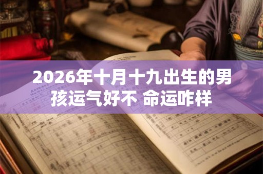 2026年十月十九出生的男孩运气好不 命运咋样