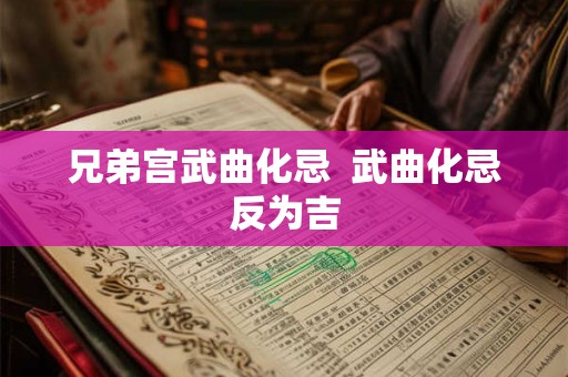 兄弟宫武曲化忌  武曲化忌反为吉