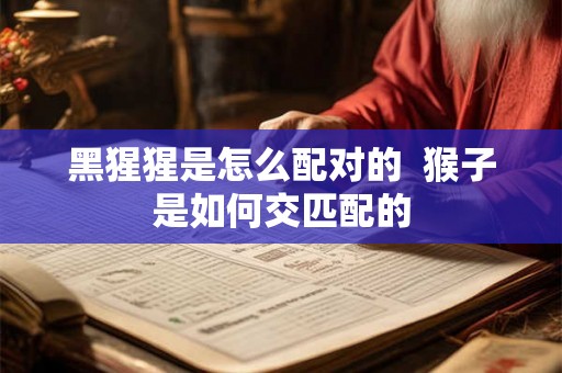 黑猩猩是怎么配对的  猴子是如何交匹配的