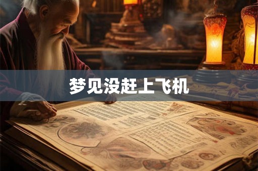 梦见没赶上飞机
