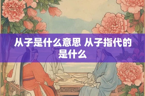 从子是什么意思 从子指代的是什么