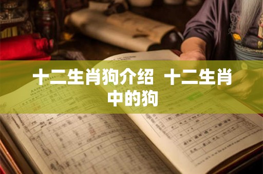 十二生肖狗介绍  十二生肖中的狗