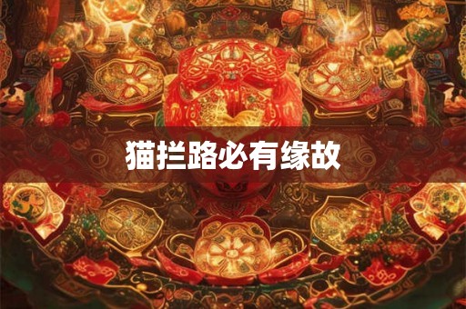 猫拦路必有缘故 猫拦路必有缘故