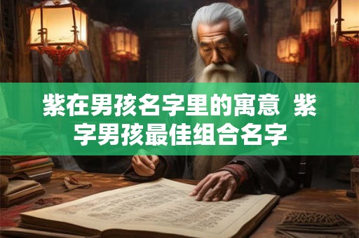 紫在男孩名字里的寓意  紫字男孩最佳组合名字