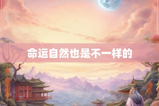 命运自然也是不一样的