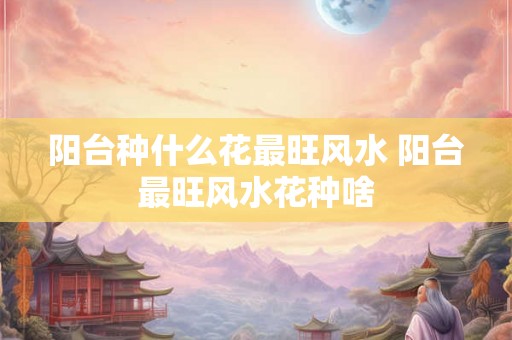 阳台种什么花最旺风水 阳台最旺风水花种啥