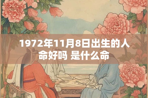 1972年11月8日出生的人命好吗 是什么命