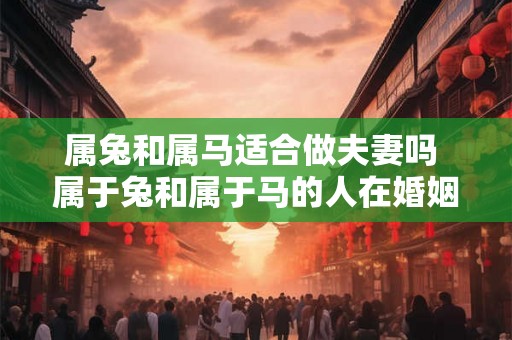 属兔和属马适合做夫妻吗 属于兔和属于马的人在婚姻中适合搭配吗