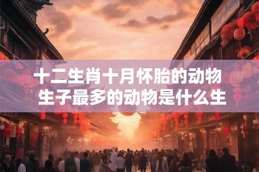 十二生肖十月怀胎的动物  生子最多的动物是什么生肖