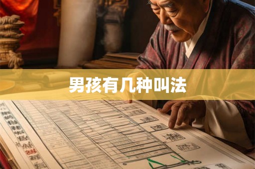 男孩有几种叫法