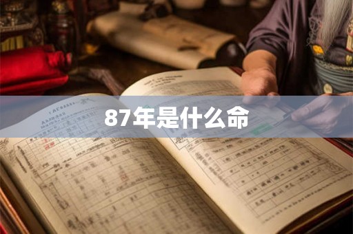 87年是什么命
