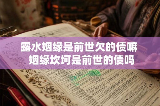 露水姻缘是前世欠的债嘛  姻缘坎坷是前世的债吗