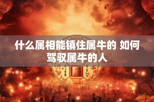什么属相能镇住属牛的 如何驾驭属牛的人