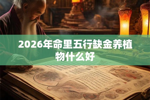 2026年命里五行缺金养植物什么好
