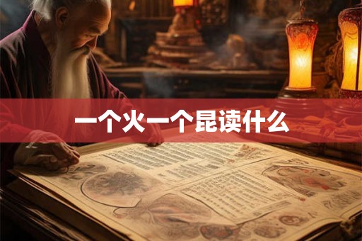 一个火一个昆读什么