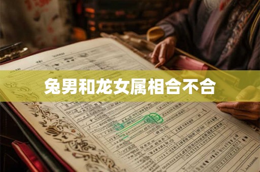 兔男和龙女属相合不合