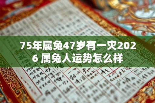 75年属兔47岁有一灾2026 属兔人运势怎么样