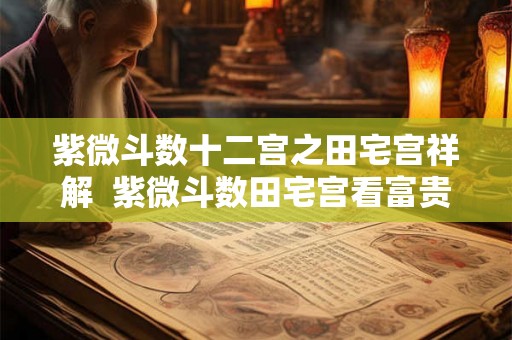 紫微斗数十二宫之田宅宫祥解  紫微斗数田宅宫看富贵