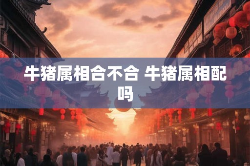 牛猪属相合不合 牛猪属相配吗 牛猪属相合不合 牛猪属相配吗