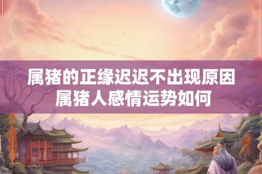 属猪的正缘迟迟不出现原因 属猪人感情运势如何 属猪的正缘迟迟不出现原因 属猪人感情运势如何