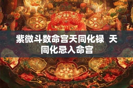 紫微斗数命宫天同化禄  天同化忌入命宫