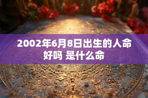 2002年6月8日出生的人命好吗 是什么命