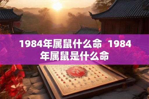 1984年属鼠什么命  1984年属鼠是什么命