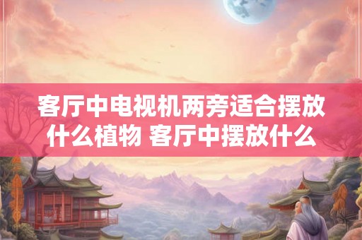 客厅中电视机两旁适合摆放什么植物 客厅中摆放什么植物最适合电视机两旁