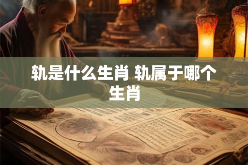 轨是什么生肖 轨属于哪个生肖