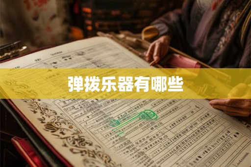 弹拨乐器有哪些