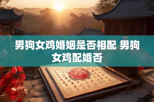 男狗女鸡婚姻是否相配 男狗女鸡配婚否