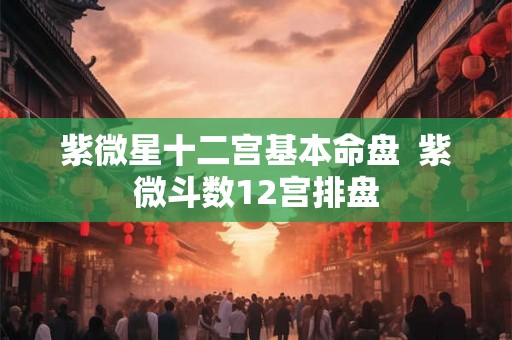 紫微星十二宫基本命盘  紫微斗数12宫排盘