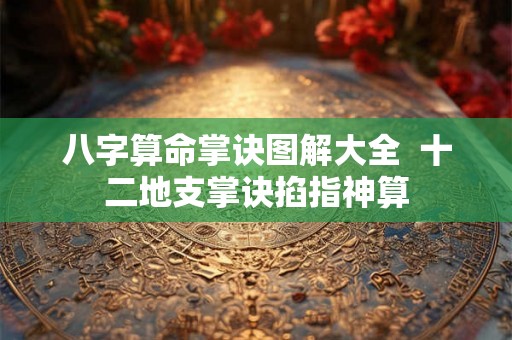 八字算命掌诀图解大全  十二地支掌诀掐指神算