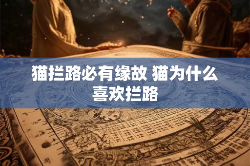 猫拦路必有缘故 猫为什么喜欢拦路