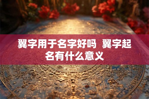 翼字用于名字好吗  翼字起名有什么意义