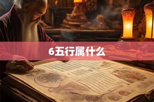 6五行属什么