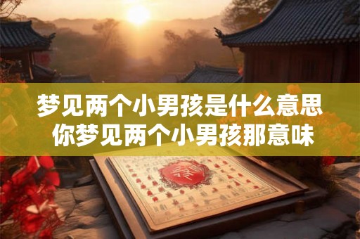梦见两个小男孩是什么意思 你梦见两个小男孩那意味着什么