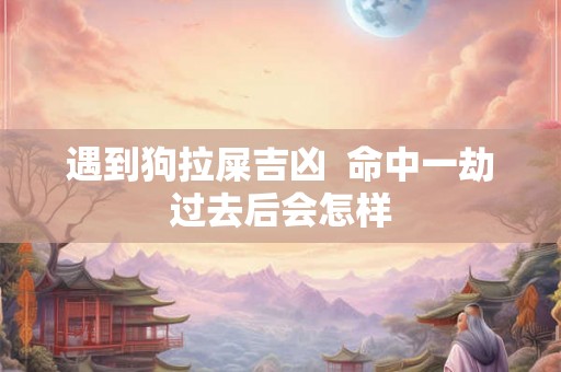 遇到狗拉屎吉凶  命中一劫过去后会怎样