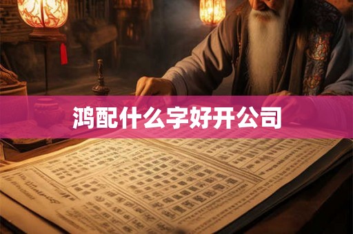 鸿配什么字好开公司