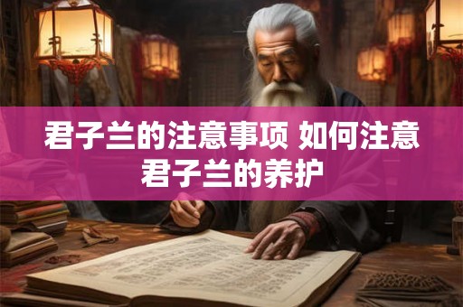 君子兰的注意事项 如何注意君子兰的养护