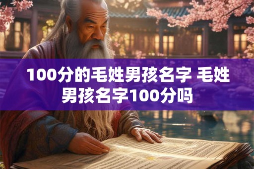 100分的毛姓男孩名字 毛姓男孩名字100分吗