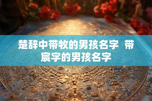 楚辞中带牧的男孩名字  带宸字的男孩名字