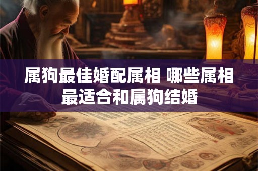 属狗最佳婚配属相 哪些属相最适合和属狗结婚