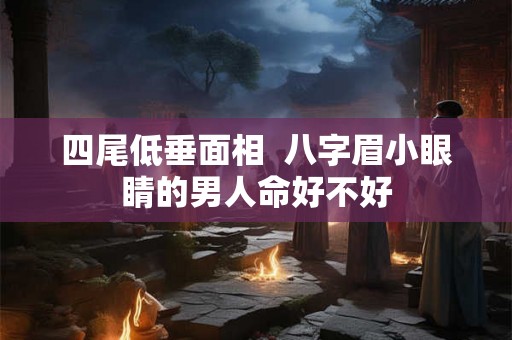 四尾低垂面相 八字眉小眼睛的男人命好不好 四尾低垂面相 八字眉小眼睛的男人命好不好